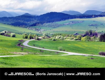 Zelené lúky nad obcou Bobrovník